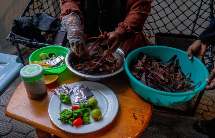 އިހަވަންދޫން ތަފާތު ރަހައެއް: ހިކިމަސް ޗިޕްސް