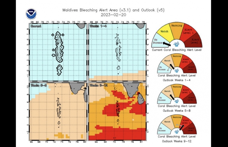އަނެއްކާވެސް ގާ ހުދުވުމުގެ ހާދިސާއެއްގެ ބިރު ބޮޑުވެއްޖެ
