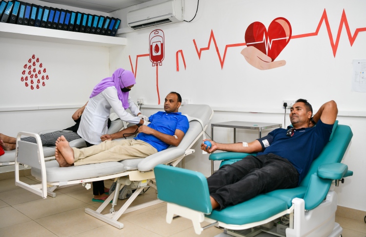 ދަމާސް އިން ލޭ ހަދިޔާކުރުމުގެ ކޭމްޕް ފަށައިފި