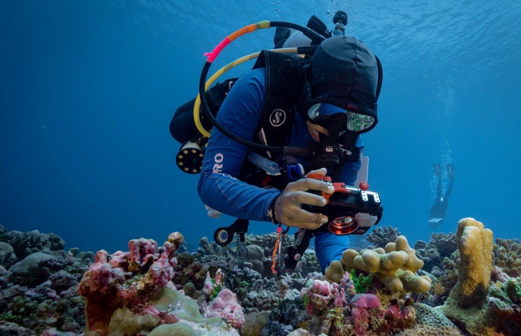 ކަނޑުފަޅުތައް ބޭނުންކުރާ ގޮތް ބެލުމަށް ބޮޑު ދިރާސާއެއް