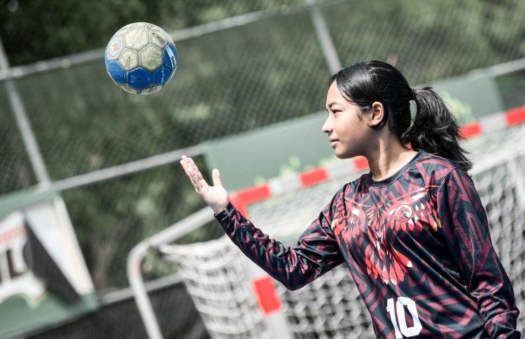 ހޭންޑްބޯޅައިގެ އަރަމުން އަންނަ ތަރިއަކީ ލީމް