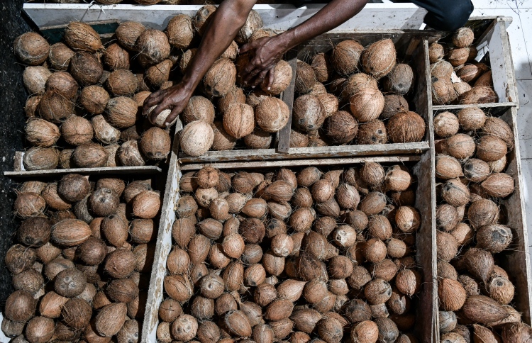 އެސްޓީއޯއިން ކާށި ބާޒާރަށް، ކިލޯއެއް 12ރ.އަށް