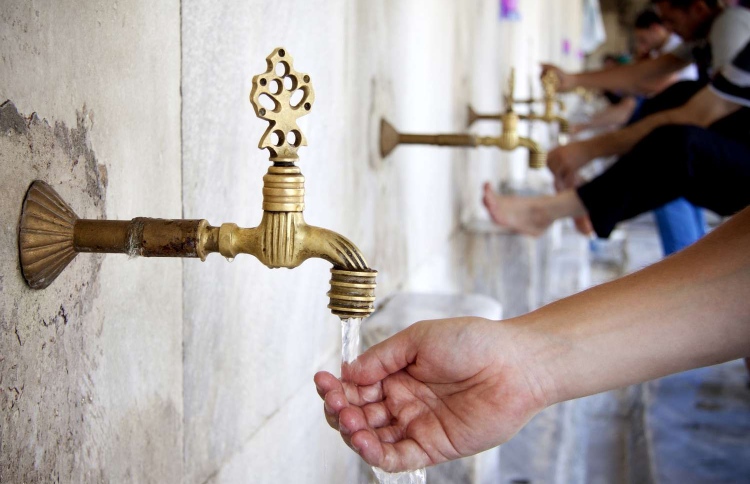 ވުލޫގެ ހިކުމަތާއި މުހިންމުކަން