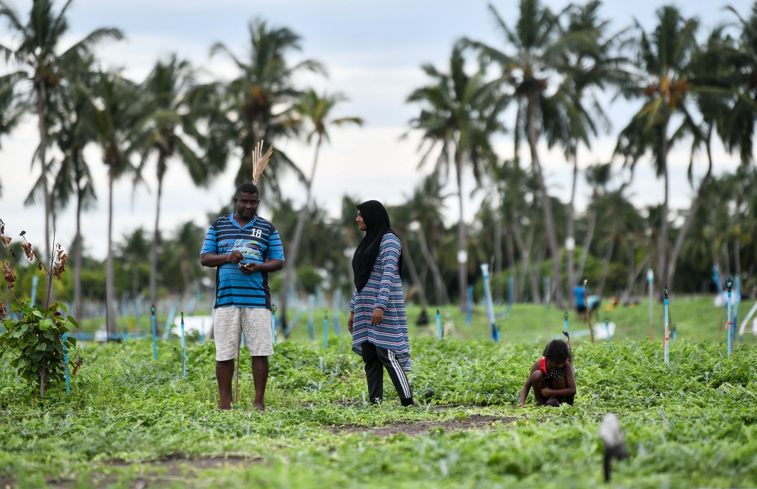 ތޮއްޑޫގެ ދަނޑުވެރިން ކަރާ ދަނޑުގައި މަސައްކަތް ކުރަނީ. އެރަށަކީ އެންމެ ގިނަ އަދަދަކަށް ކަރާ ދަނޑު ހައްދާ ރަށް-- ފޮޓޯ: ފަޔާޒް މޫސާ/ މިހާރު