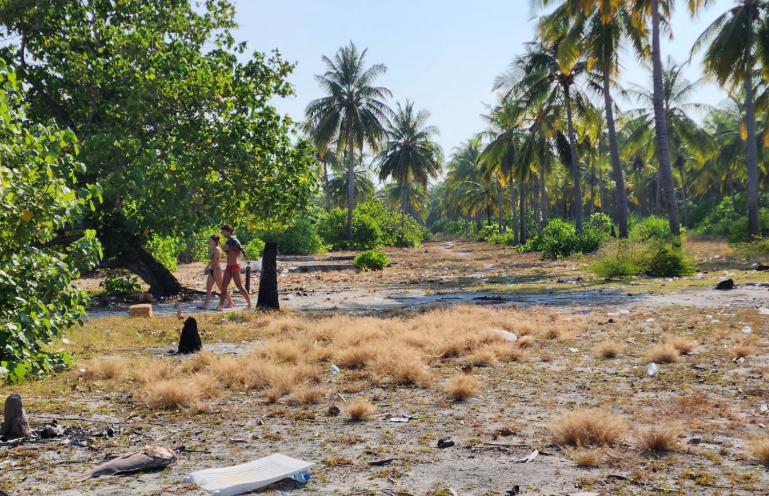 ހިމިތީގައި ޓޫރިސްޓުންތަކެއް ޕިކްނިކް ހަދަނީ -- ފޮޓޯ: މިހާރު