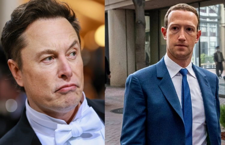 މެޓައިން ޓްވިޓާއާ ވާދަކުރާތީ "ކޮޕީ ކެޓް" ގޮވައިފި