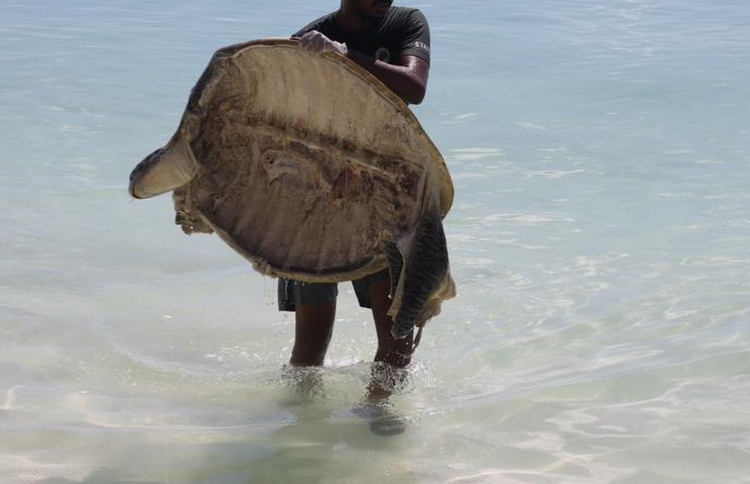 ލ. ގަމުގައި ވެލާތަކެއް މަރާލި މައްސަލައެއް