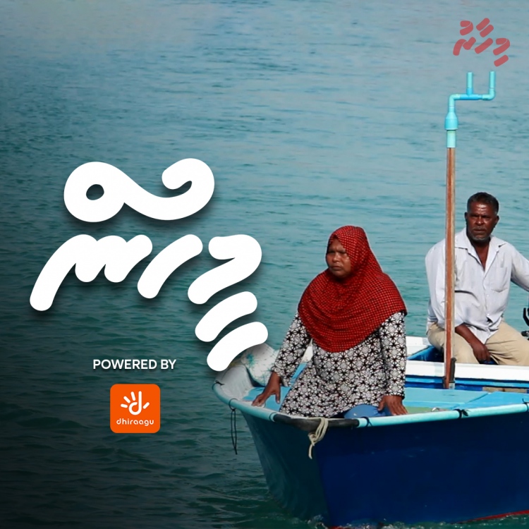 މި ދެމަފިރިން ދުރުގައި ތިބޭ ސިކުންތެއް ވެސް ނެތް!