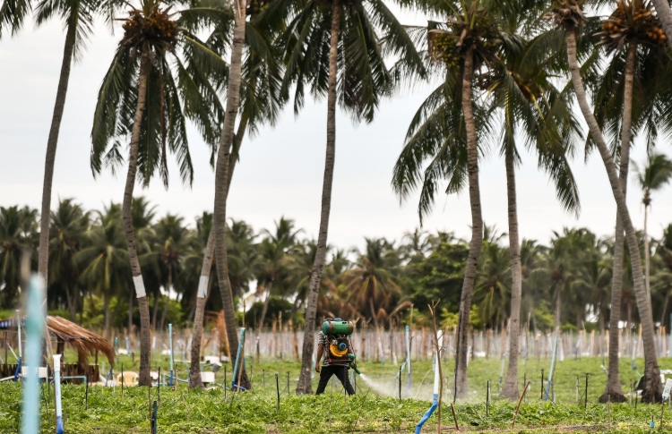 ކެރެލާއިން ރާއްޖެއަށް 5،000 ރުއް ގެނެސްފި