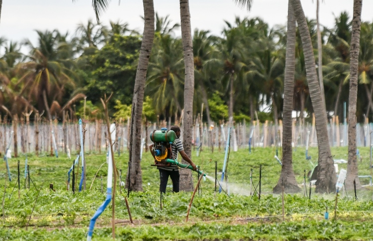 ކެމިކަލް ނުލައި ދަނޑު ހައްދަން ރައީސް އެދިވަޑައިގެންފި