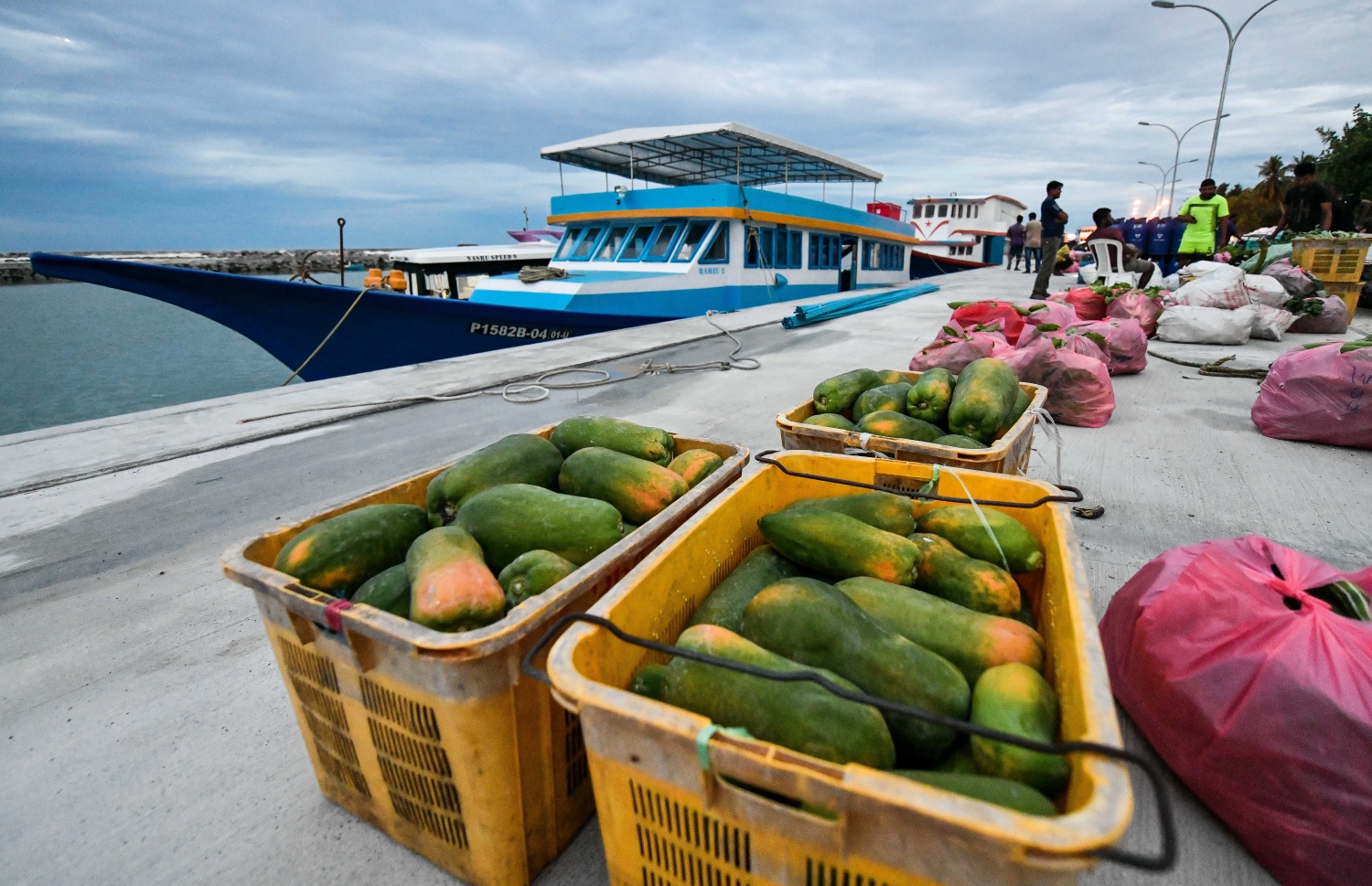 ތޮއްޑޫގައިު ހައްދާފައި ހުރި ފަޅޯތަކެއް މާލެ ގެންދަން ބަނދަރުގައި ބަހައްޓާފައި. --ފޮޓޯ: ފަޔާޒް މޫސާ/ މިހާރު