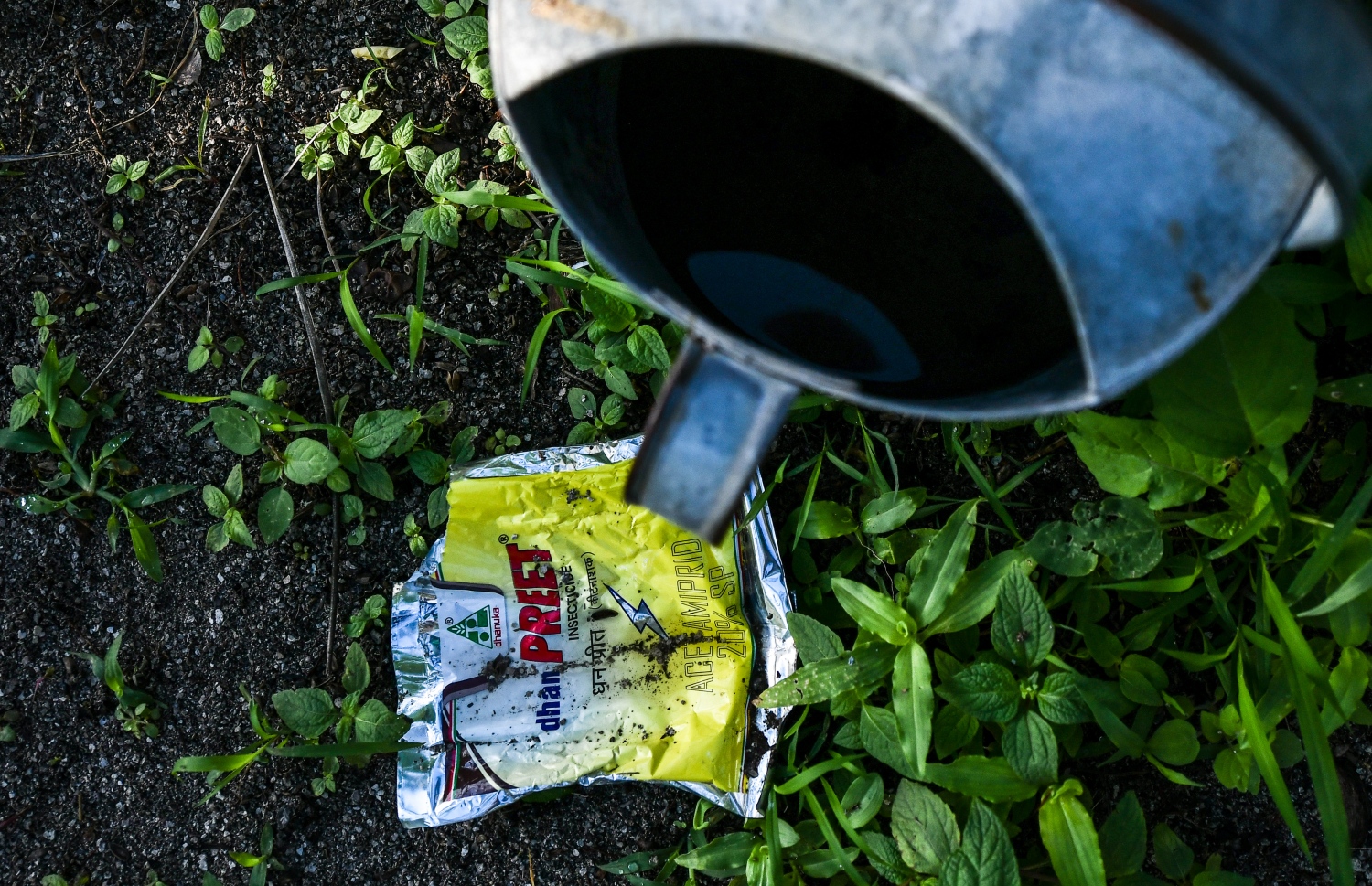 ދަނޑެއްގައި ބޭނުން ކުރާ ކެމިކަލްތަކެއް މީހަކު ދައްކާލަނީ