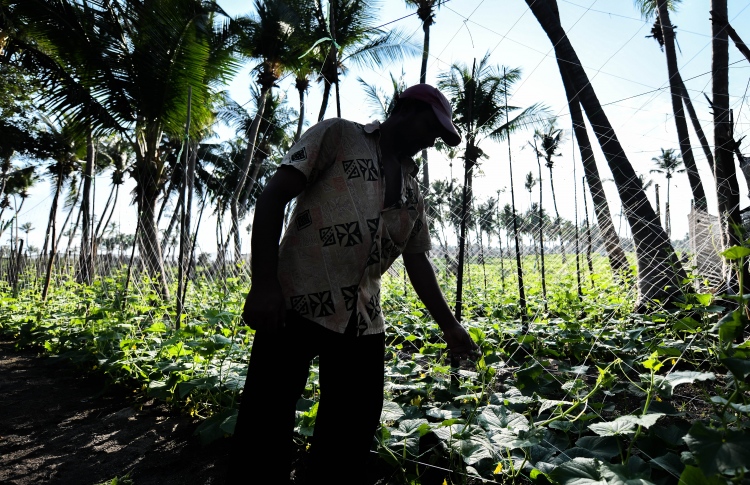 ކާބޯތަކެތީގެ ރައްކާތެރިކަމުގެ ބިލް ތަސްދީގު ކުރައްވައިފި