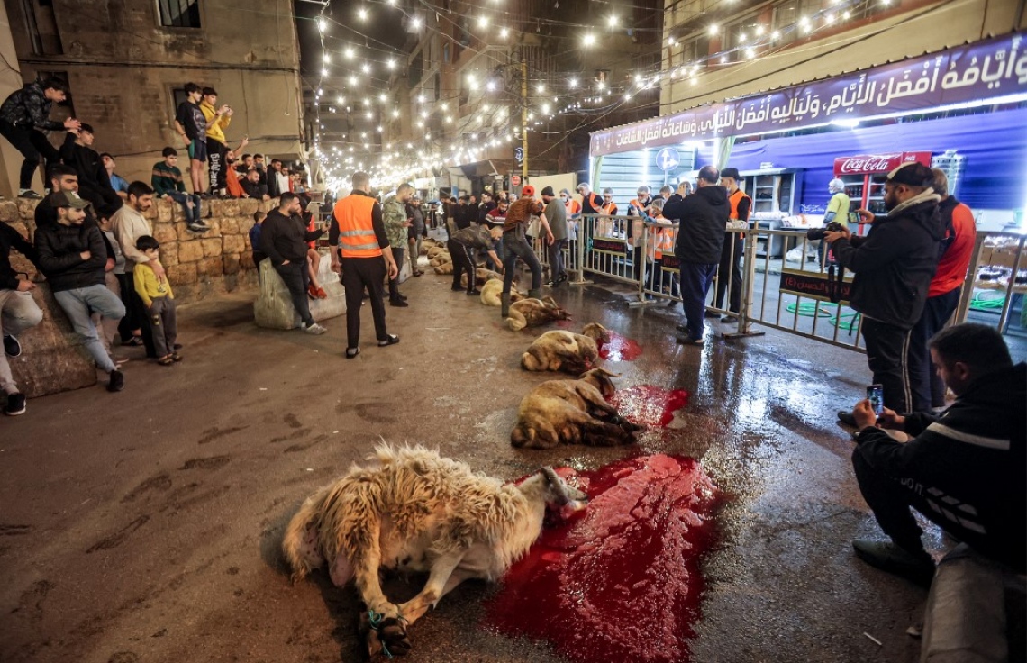 ވޮލެންޓިއަރުންތަކެއް ރޯދަ އަށް ތިބި މީހުންނަށް ބެހުމަށް ކަންބަޅިތަކެއް ކަތިލާފައި.-- ފޮޓޯ: އޭއެފްޕީ