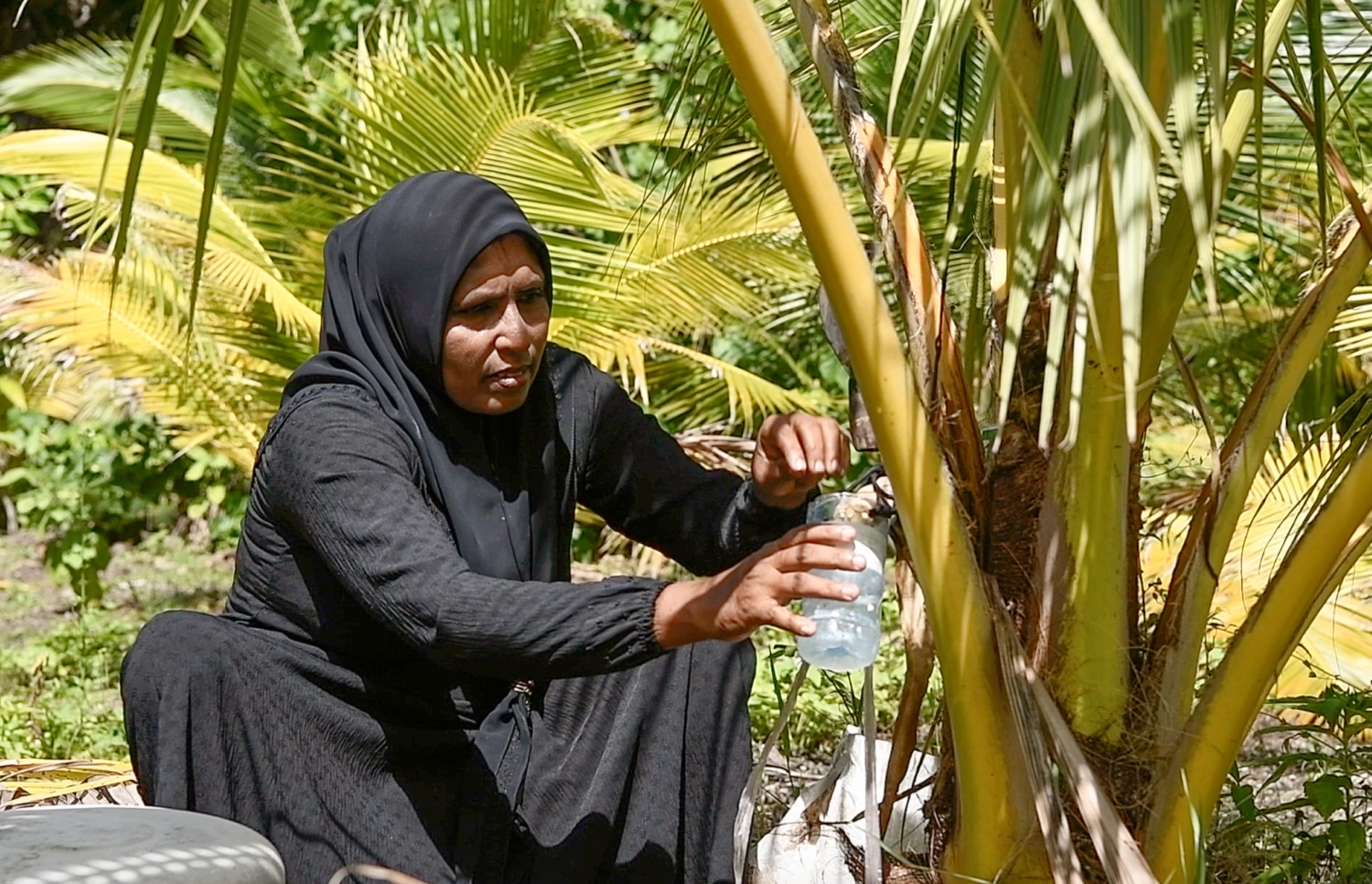 ހަފްސާ ރާބާލަނީ: އޭނާ އަކީ ފިޔޯރީގައި އެންމެ ފުރަތަމަ ރާވެރިކަމަށް ނުކުތް އަންހެން މީހާ-- ފޮޓޯ: ނިޝާން އަލީ/ މިހާރު