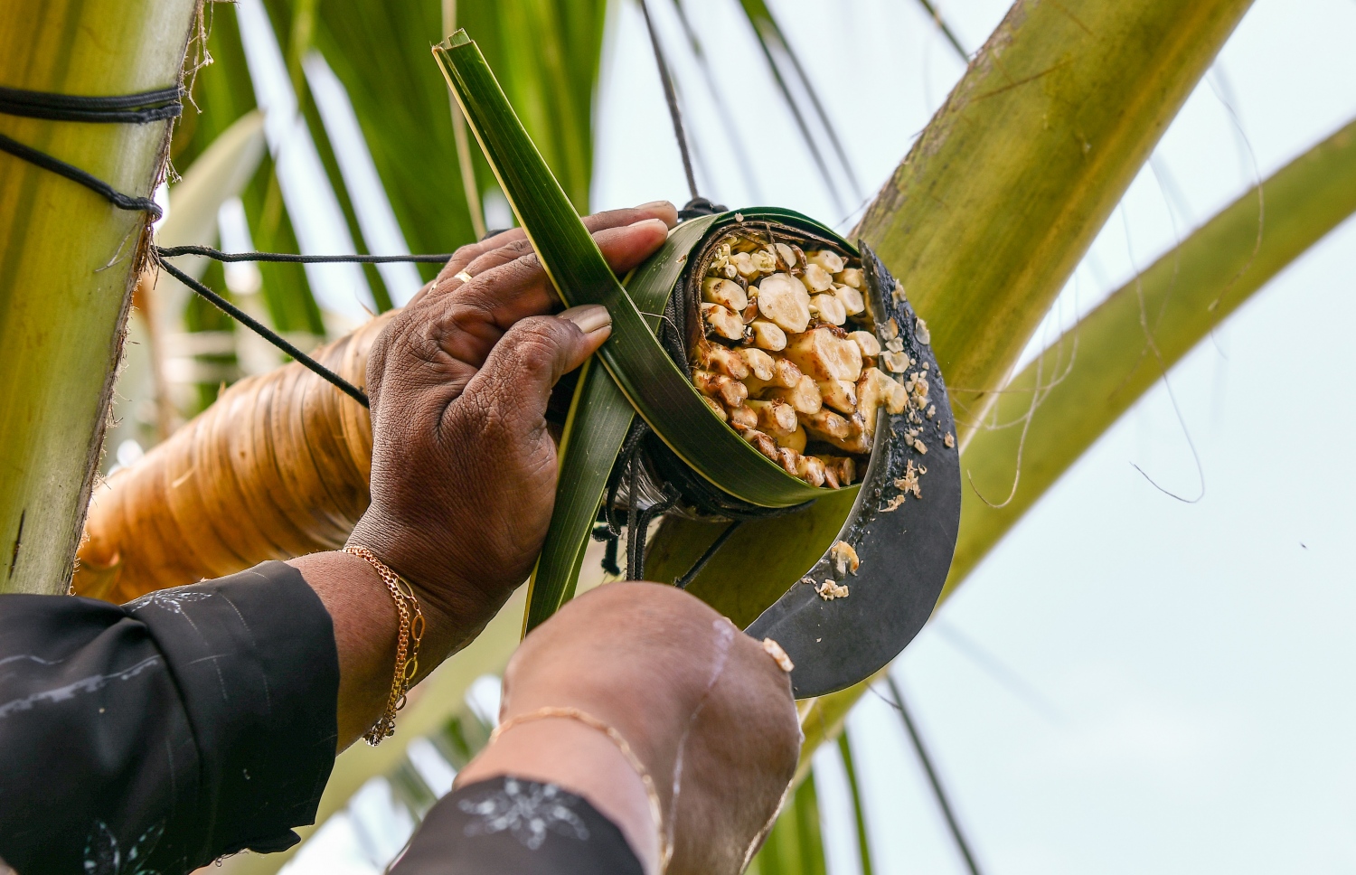 "ރާ އެތް" ކޮށާ ސާފު ކުރަނީ. މިކަން ކޮންމެ ދުވަހަކު ތިން ފަހަރު ކުރަން ޖެހޭނެ-- ފޮޓޯ: ނިޝާން އަލީ/ މިހާރު