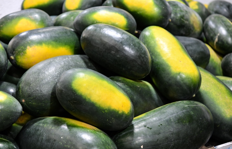 ކަރާގެ އަގު 15-20ރ. އަށް