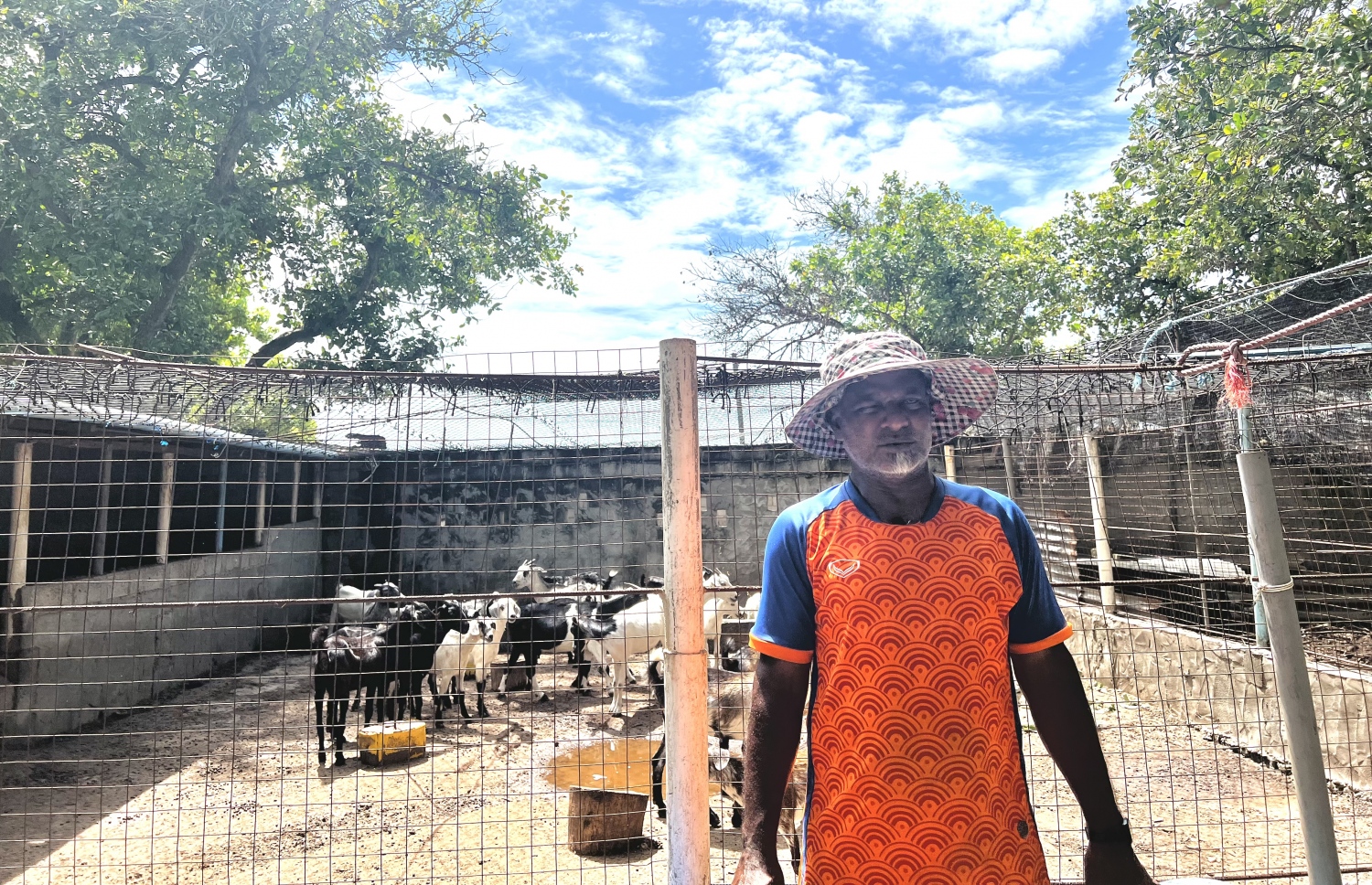 އަލީ ރަޝީދު އޭނާގެ ބަކަރި ކޮށި ކައިރީގައި ހުރެގެން "މިހާރު" އަށް އިންޓަވިއު ދެނީ.