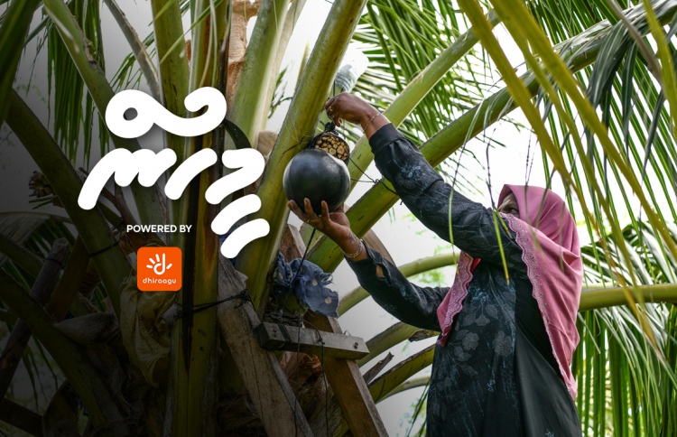 ފިރިހެނުންނަށް ދޫނުކޮށް ފިޔޯރީގެ އަންހެނުން ރާވެރިކަމަށް