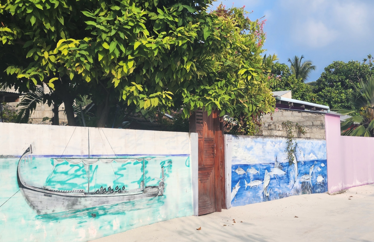 ޝިޔާމް، އޭނާ ގޭގެ ބޭރުގައި ކުރަހާފައި -- ފޮޓޯ: މިހާރު