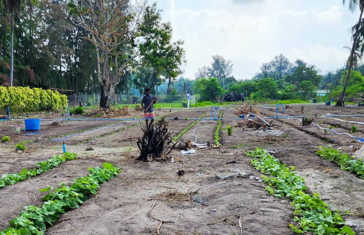 ފަޅުރަށްތައް ކުއްޔަށް ދިނުން މަޑުޖައްސާލައިފި
