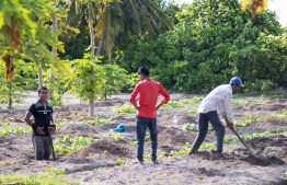 Dharanboodhoo Agriculture farming