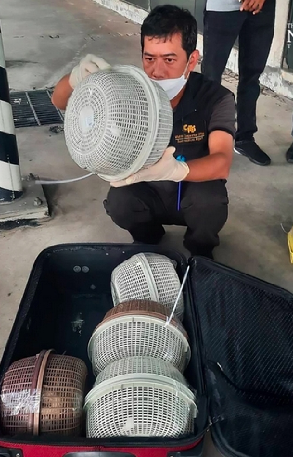 ހިމާޔަތްކޮށްފައިވާ ދޫނިތަކެއް ތައިލެންޑުން ބޭރުކުރަން އުޅެނިކޮށް އަތުލައިގަނެ ކަސްޓަމްސް އިން ފާސްކުރަނީ. -- ފޮޓޯ: ދަ ނެޝަނަލް