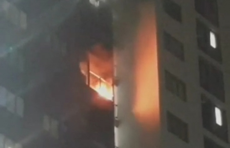 ހިޔާ ފްލެޓެއްގެ ބެލްކަނީގައި ރޯވެއްޖެެ