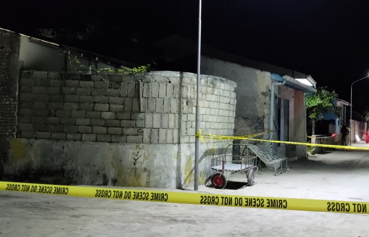 ނައީމާ މަރާލަން ބޭނުންކުރި ދެ ވަޅި ހޯދައިފި