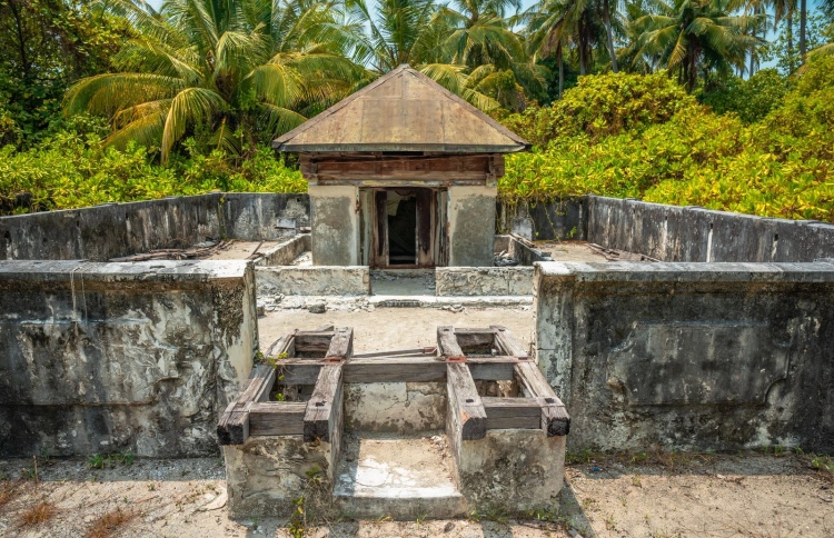 ސާޖިން މަތީރަށްފުޅުގައި