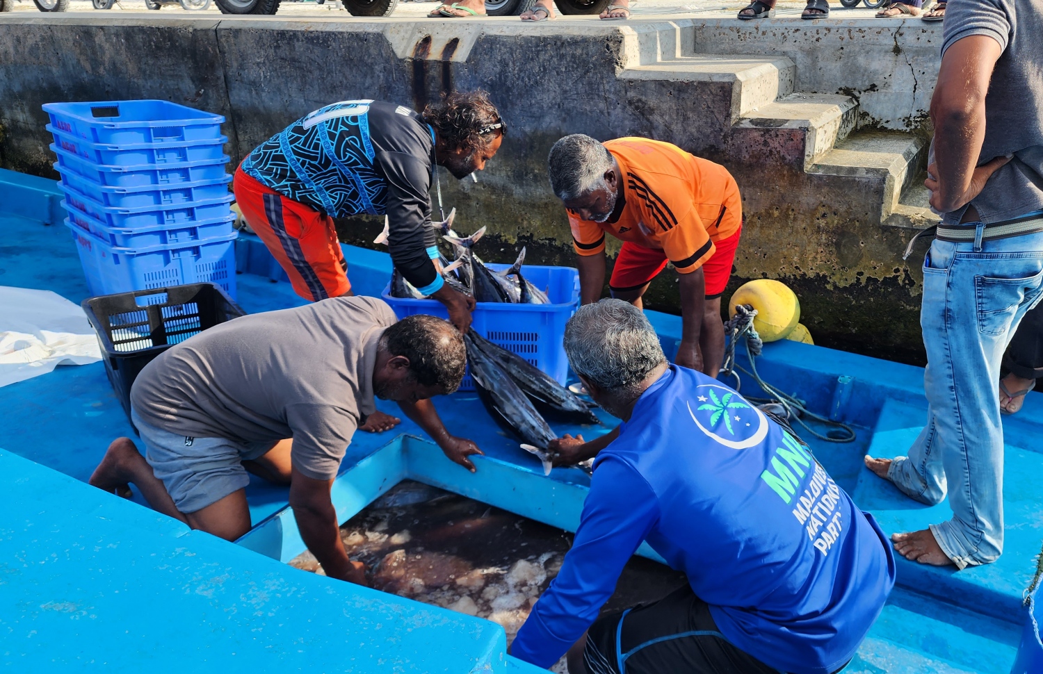 ނިލަންދު އަށް މަސް ކިރަނީ: ވަޅޯ މަހާއި ރިހާކުރު އުފެއްދުމުގައި މިއީ މަޝްހޫރު ރަށެއް -- ފޮޓޯ: މިހާރު