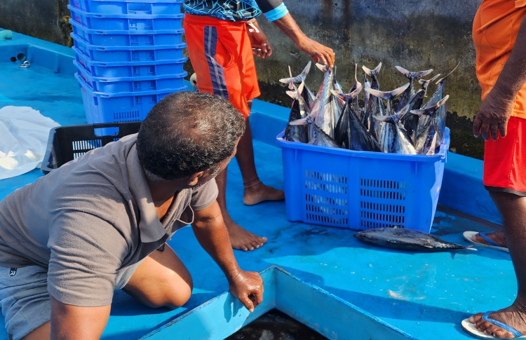 މަސްވެރިންނަށް ފައިސާ ދޭން ގޮވާލައި ކުއްލި މައްސަލައެއް