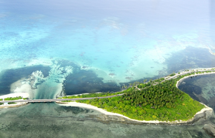 ގެނބުނު ކުއްޖަކަށް ފަރުވާ ދެނިކޮށް މަރުވެއްޖެ