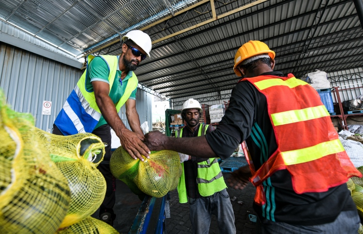 ރާއްޖޭގެ އެކްސްޕޯޓް 50 ޕަސެންޓް އިތުރުވެއްޖެ