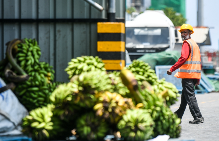 މިދިޔަ ކުއާޓާގައި ތަކެތީގެ އަގު މައްޗަށް