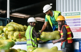 Labors working at Male' Commercial Harbor to clear imported goods-- Photo: Mihaaru