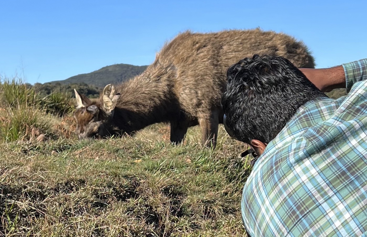 ސުޖުއާން ފޮޓޯއެއް ނަގަނީ: މިހާތަނަށް ވަރަށް ގިނަ ފޮޓޯތައް އޭނާ ވަނީ ނަގާފައި.