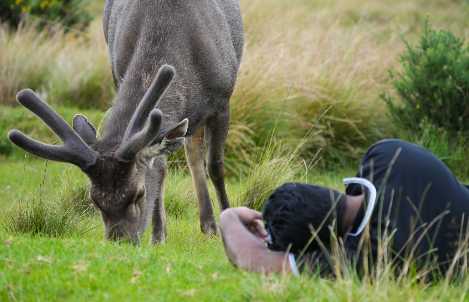 ސުޖުއާން ފޮޓޯނަގަނީ: އޭނާގެ ޝައުގުވެރިކަމަކީ ވަލު ޖަނަވާރުތަކުގެ ފޮޓޯ ނެގުން.
