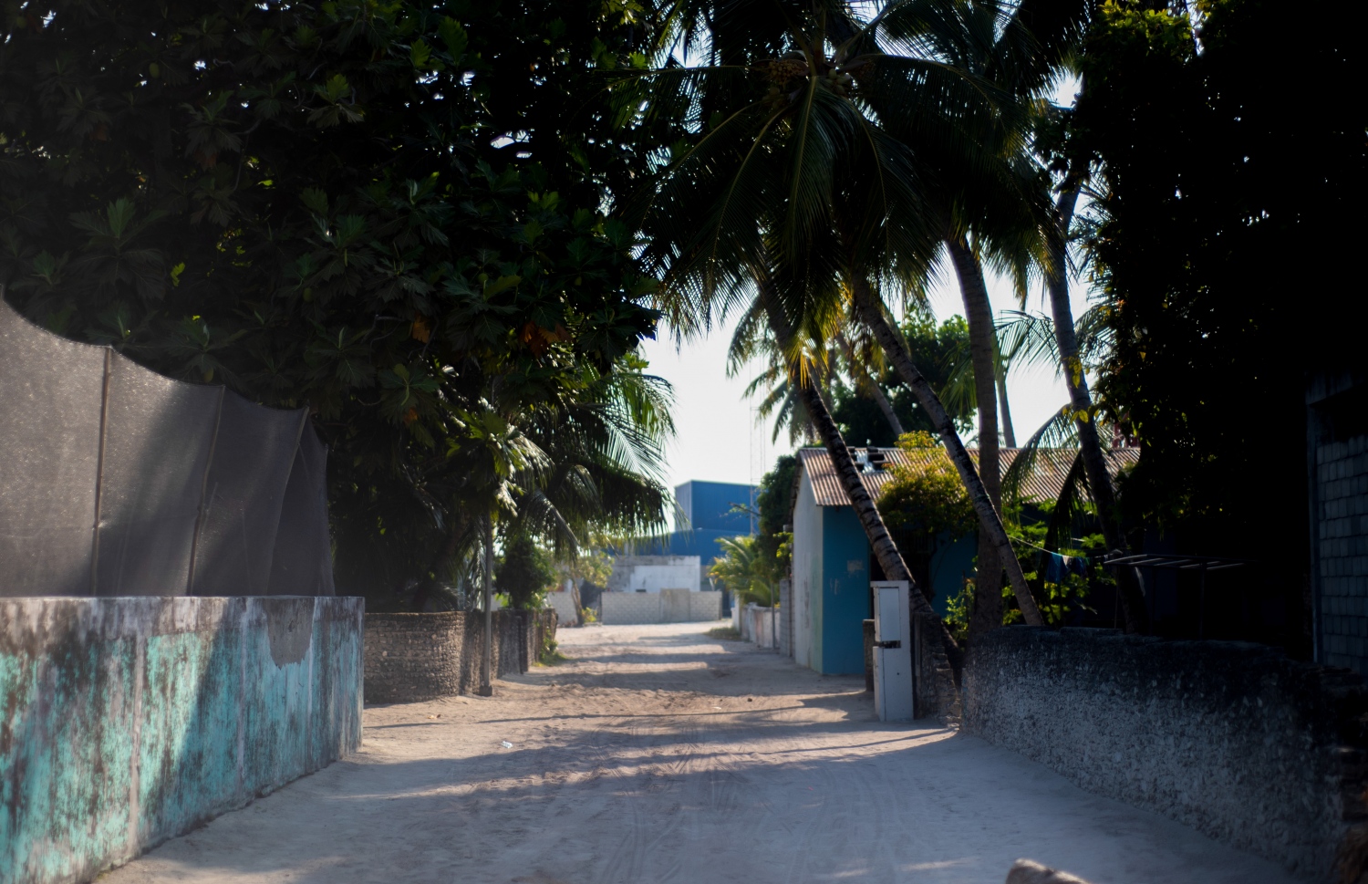 ފީއަލީގެ މަގެއް: މީހުން ދިރިއުޅޭލެއް މަދު -- ފޮޓޯ: ވިޝާހު ޒަރީރު/ މިހާރު