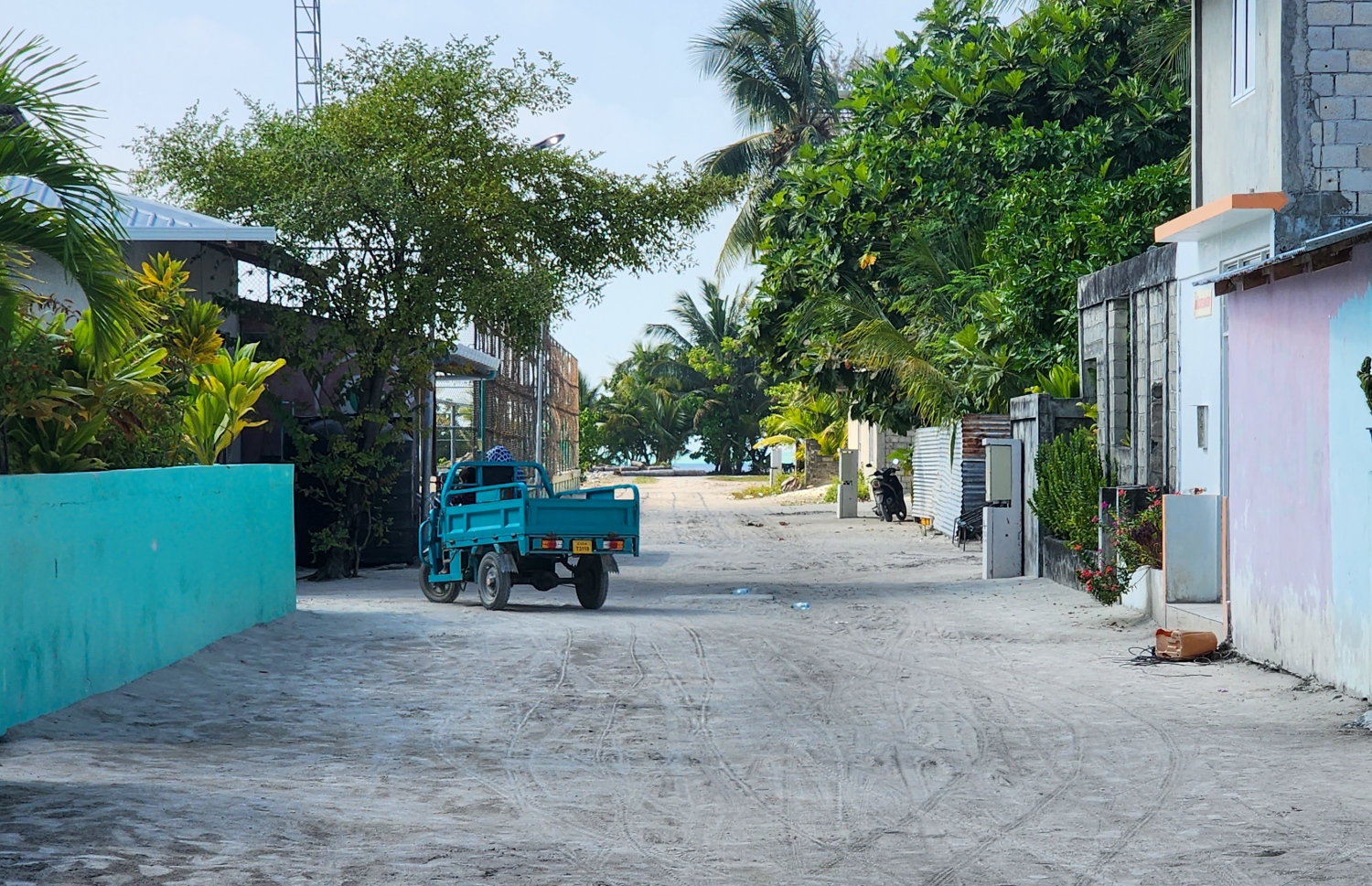 ފީއަލީގެ މަގެއް: ހަރަކާތްތައް ވަރަށް މަދު -- ފޮޓޯ: ވިޝާހު ޒަރީރު/ މިހާރު