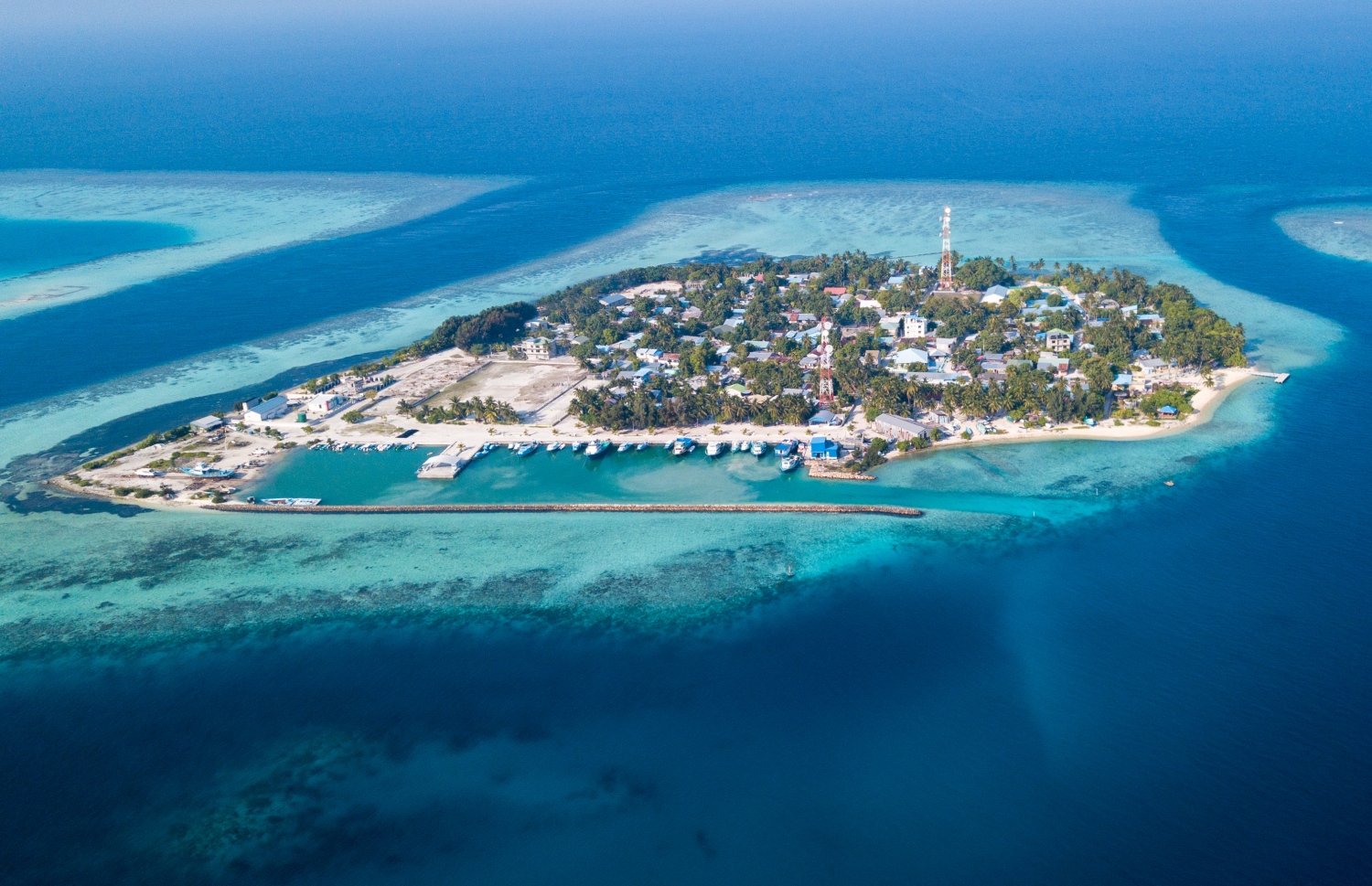 ފީއަލީގެ މަތިން ނަގާފައިވާ ފޮޓޯއެއް -- ފޮޓޯ: ވިޝާހު ޒަރީރު/ މިހާރު