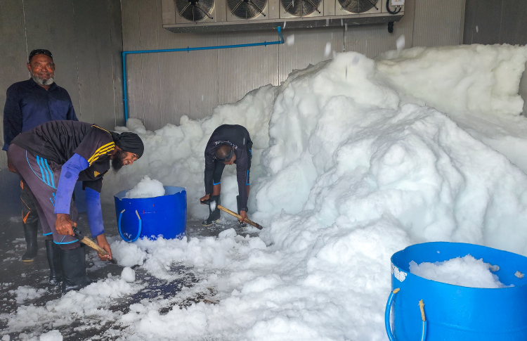 ފުނަދޫގައި 30 ޓަނުގެ އައިސްޕްލާންޓެއް ހުޅުވައިފި