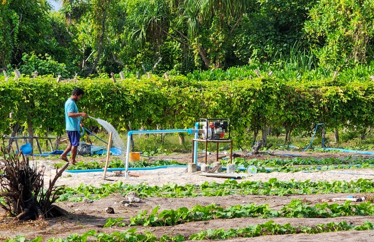 ދަނޑުވެރިންގެ ދަފްތަރެއް އެކުލަވާލަނީ