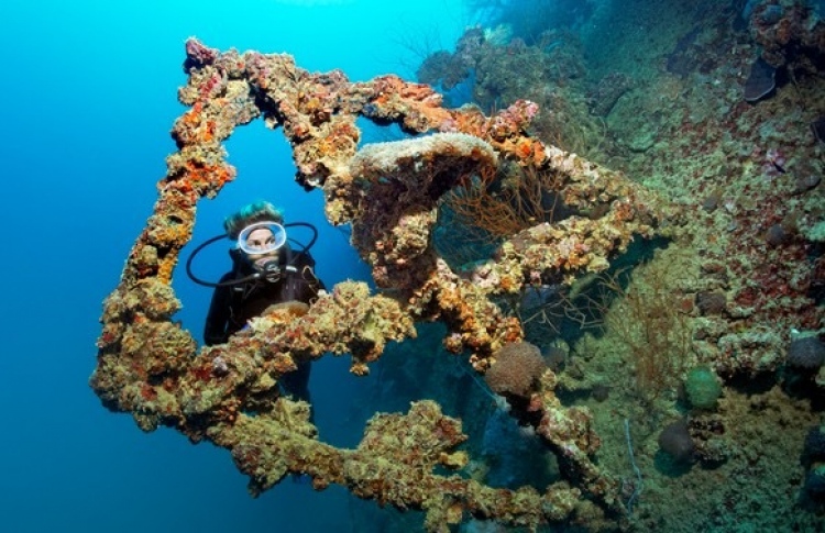 މި އަހަރުގެ ކޮރަލް ފެސްޓިވަލް ހިތަދޫގައި ބާއްވަނީ