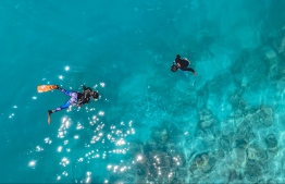 Deploying coral frames in the house reef -- Photo: St. Regis Maldives Vommuli Resort
