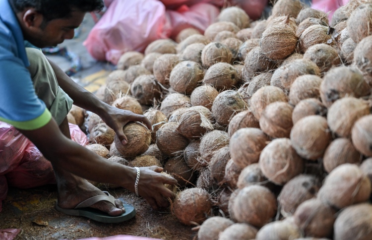 އެސްޓީއޯ އިން ބާޒާރަށް ކާށި ނެރެނީ، އަގަކީ 5ރ.