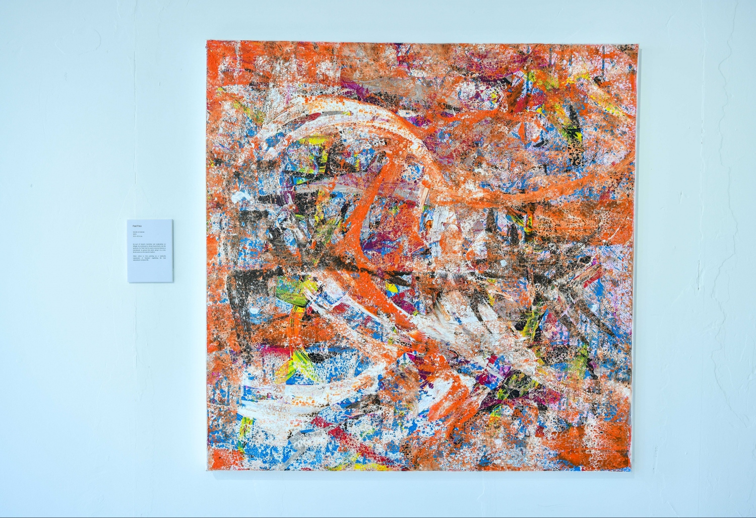 ޓޯނީ އެގްޒިބިޝަނަށް ތައްޔާރު ކުރި "ފީލް ފްރީ" ޕެއިންޓިން. -- ފޮޓޯ: ފަޔާޒް މޫސާ | މިހާރު