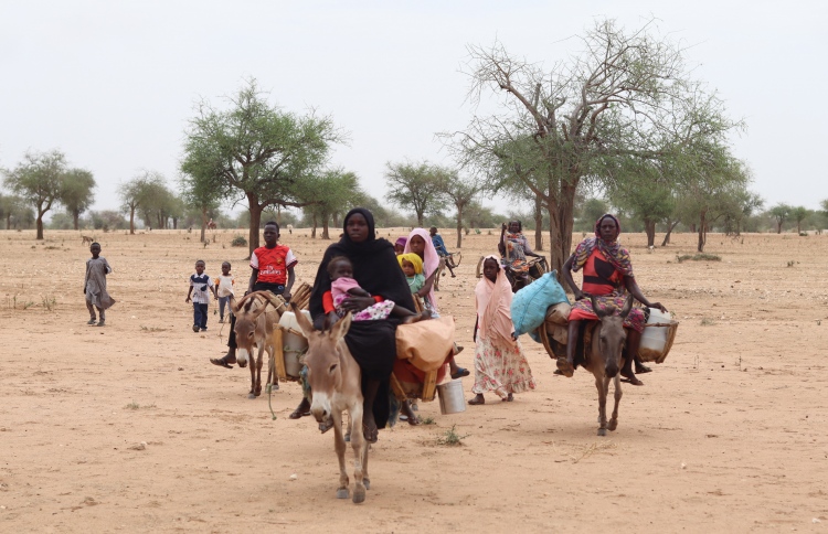 ސޫދާން ހަނގުރާމަ ހުއްޓުމުގެ ވިސްނުމެއް ނެތް