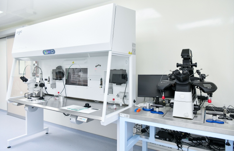 އައިވީއެފް ފަށަން ޓްރީޓޮޕުން ސްކްރީން ޕްރޮގްރާމެއް