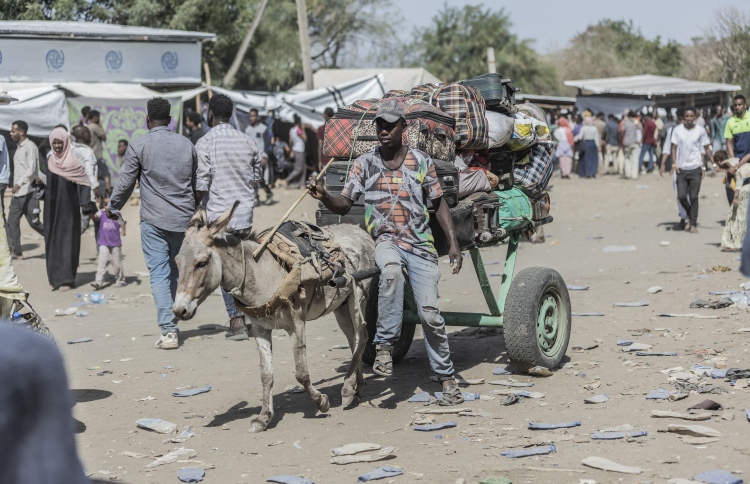 2022: ރެކޯޑް އަދަދަކަށް ގެދޮރު ގެއްލުނު އަހަރެއް